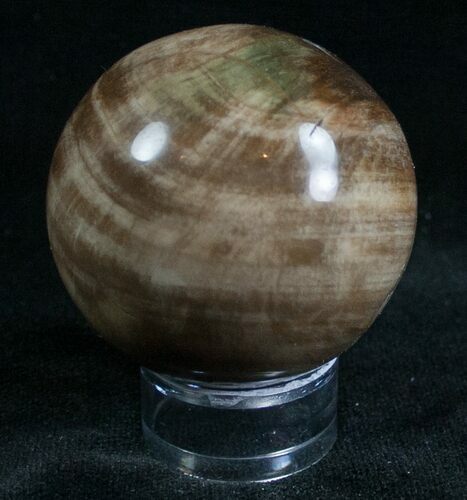 Colorful Petrified Wood Sphere #6814